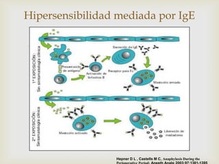 Hipersensibilidad mediada por IgE

              




                 Hepner D L , Castells M C, Anaphylaxis During the
 