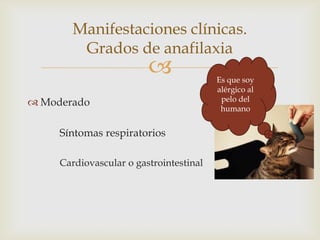 Manifestaciones clínicas.
        Grados de anafilaxia
                                        Es que soy
                                         alérgico al
 Moderado                                pelo del
                                          humano


     Síntomas respiratorios

     Cardiovascular o gastrointestinal
 