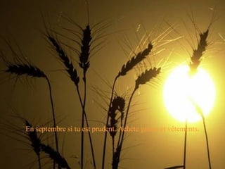 En septembre si tu est prudent. Achète grains et vêtements . 