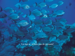 La mer n’ achète pas de poisson! 