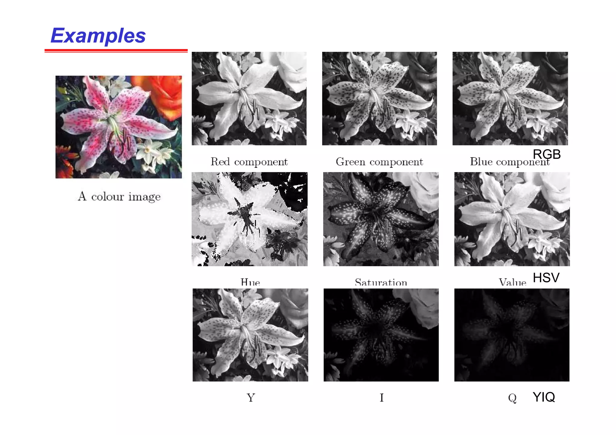 Examples
Examples
RGB
HSV
YIQ
 
