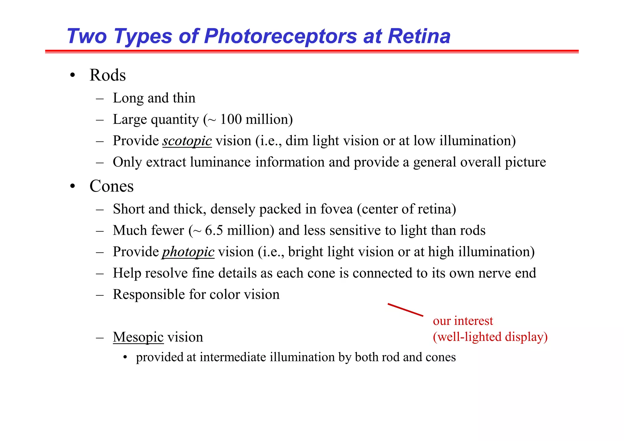 Two Types of Photoreceptors at Retina
Two Types of Photoreceptors at Retina
• Rods
– Long and thin
– Large quantity (~ 100 million)
– Provide scotopic vision (i.e., dim light vision or at low illumination)
– Only extract luminance information and provide a general overall picture
• Cones
– Short and thick, densely packed in fovea (center of retina)
– Much fewer (~ 6.5 million) and less sensitive to light than rods
– Provide photopic vision (i.e., bright light vision or at high illumination)
– Help resolve fine details as each cone is connected to its own nerve end
– Responsible for color vision
– Mesopic vision
• provided at intermediate illumination by both rod and cones
our interest
(well-lighted display)
 