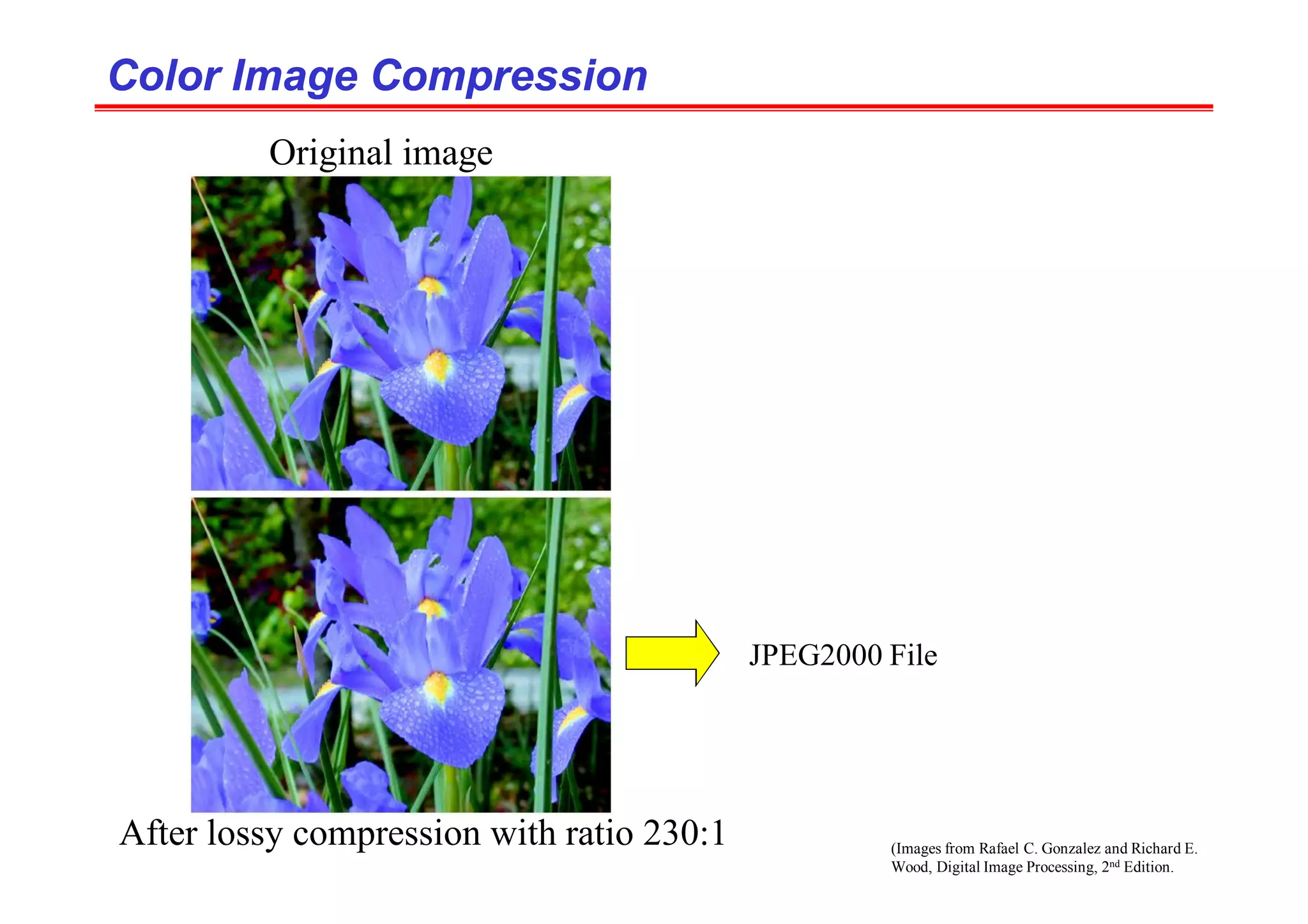 (Images from Rafael C. Gonzalez and Richard E.
Wood, Digital Image Processing, 2nd Edition.
Color Image Compression
Color Image Compression
JPEG2000 File
Original image
After lossy compression with ratio 230:1
 