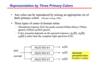 Representation by Three Primary Colors
Representation by Three Primary Colors
• Any color can be reproduced by mixing an appropriate set of
three primary colors (Thomas Young, 1802)
• Three types of cones in human retina
– Absorption response Si(λ) has peaks around 450nm (blue), 550nm
(green), 620nm (yellow-green)
– Color sensation depends on the spectral response {α1(C), α2(C),
α3(C) } rather than the complete light spectrum C(λ)
∫ S1(λ) C(λ) d λ
∫ S2(λ) C(λ) d λ
∫ S3(λ) C(λ) d λ
C(λ)
color light
α1(C)
α2(C)
α3(C)
Identically
perceived colors
if αi (C1) = αi (C2)
 