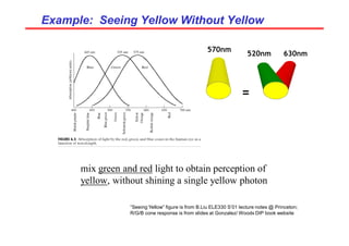 Example: Seeing Yellow Without Yellow
Example: Seeing Yellow Without Yellow
mix green and red light to obtain perception of
yellow, without shining a single yellow photon
520nm 630nm
570nm
=
“Seeing Yellow” figure is from B.Liu ELE330 S’01 lecture notes @ Princeton;
R/G/B cone response is from slides at Gonzalez/ Woods DIP book website
 