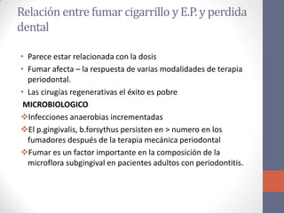 Relación entre fumar cigarrillo y E.P. y perdida
dental
• Parece estar relacionada con la dosis
• Fumar afecta – la respuesta de varias modalidades de terapia
periodontal.
• Las cirugías regenerativas el éxito es pobre
MICROBIOLOGICO
Infecciones anaerobias incrementadas
El p.gingivalis, b.forsythus persisten en > numero en los
fumadores después de la terapia mecánica periodontal
Fumar es un factor importante en la composición de la
microflora subgingival en pacientes adultos con periodontitis.
 