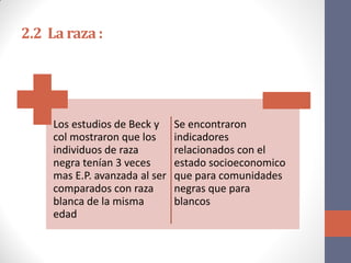 2.2 La raza :
Los estudios de Beck y
col mostraron que los
individuos de raza
negra tenían 3 veces
mas E.P. avanzada al ser
comparados con raza
blanca de la misma
edad
Se encontraron
indicadores
relacionados con el
estado socioeconomico
que para comunidades
negras que para
blancos
 