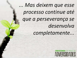 ... Mas deixem que esse
processo continue até
que a perseverança se
desenvolva
completamente...
 