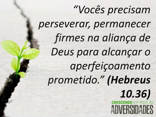 “Vocês precisam
perseverar, permanecer
firmes na aliança de
Deus para alcançar o
aperfeiçoamento
prometido.” (Hebreus
10.36)
 