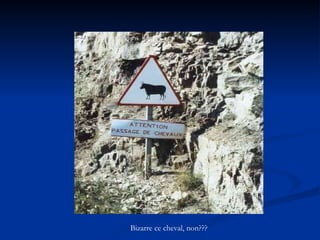 Bizarre ce cheval, non??? 