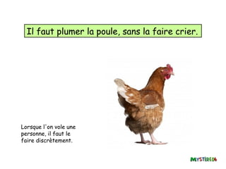Il faut plumer la poule, sans la faire crier.




Lorsque l'on vole une
personne, il faut le
faire discrètement.
 