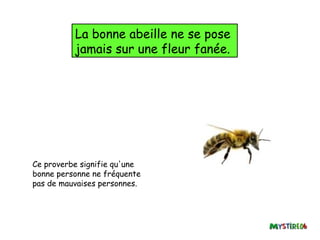 La bonne abeille ne se pose
          jamais sur une fleur fanée.




Ce proverbe signifie qu'une
bonne personne ne fréquente
pas de mauvaises personnes.
 