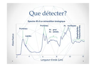 Que détecter?
                             Spectre IR d’un échantillon biologique




                                                                                   Polysaccharides.
                                         Protéines                Ac. nucléiques




                                                                                   Polysaccharides
                                                                                   Phospholipides.
                                                                                   Phospholipides
                 Protéines
                                                     Ac. gras
                                                     Ac. aminés
Absorbance




                       Lipides




             2               4             6                8           10                            12

                                          Longueur d’onde (µm)
 