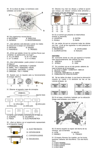 45. En la célula de abajo, la membrana está
señalada con la letra:
46. Son organismos microscópicos
A. BACTERIAS B. INSECTOS
C. ANFIBIOS D. INVERTEBRADOS
47. ¿Qué glándula está afectada cuando los niveles
de azúcar en la sangre son anormales?
A. HIPÓFISIS B. HÍGADO
C. PÁNCREAS D. TIROIDES
48. ¿Entre qué edades inician los cambios físicos que
convierten en adolescente a la mujer?
A. 18 y 24 AÑOS B. 20 Y 22 AÑOS
C. 9 Y 12 AÑOS D. 4 Y 6 AÑOS
49. ¿Qué enfermedades puede producir el consumo
de tabaco?
A. BRONQUITIS, ENFISEMA Y CANCER
B. GRIPE, TOS Y DEBILIDAD VISUAL
C. LEUCEMIA, GASTRITIS Y LEPRA
D. CIRROSIS, TOS Y FIEBRE
50. Aparato que no requiere para su funcionamiento
de energía eléctrica
A B C D
51. Observa el siguiente mapa de conceptos
algunos tipos
son:
se utiliza para se utiliza para
se utiliza para se utiliza para
La opción que completa correctamente el mapa es:
A. SONORA B. CALORÍFICA
C. FÍSICA D. ELECTROAGNÉTICA
52. ¿Qué se fabrica con el experimento representado
en la siguiente imagen?
53. Observa muy bien los dibujos y señala la opción
que marque una relación correcta entre alimentos y
los grupos a los que pertenecen
1. CEREALES Y
TUBÉRCULOS
2. FRUTAS Y
VERDURAS
3. LEGUMINOSAS
b. frijol a. trigo c. manzana
A. 1-c 2-b 3-a
B. 1-a 2-b 3-c
C. 1-a 2-c 3-b
D. 1-b 2-a 3-c
54. Es un animal que presenta la metamorfosis
durante su desarrollo.
A. LAGARTIJA B. RATÓN
C. ÁGUILA D. RANA
55. Las partes de que se componen todas las células
son tres. ¿Cuál de las siguientes no está presente en
todas las células?
A. MEMBRANA B. CITOPLASMA
C. CLOROPLASTOS D. NÚCLEO
HISTORIA
56. Continente donde se cree que apareció el hombre
hace aproximadamente dos millones de años
A. AMÉRICA B. EUROPA
C. ÁFRICA D. ASIA
57. Se considera que es el más grande adelanto de
toda la historia de la humanidad.
A. CULTIVAR LA TIERRA Y DOMESTICAR ANIMALES
B. PRODUCIR FUEGO
C. CONSTRUIR HERRAMIENTAS DE HIERRO
D. FABRICACIÓN DE VASIJAS DE BARRO
58. De las tablas de abajo, la que tiene la información
correcta en cuanto a la ubicación de ríos en las
culturas antiguas, es:
A B
Mesopotamia Hoang Ho Mesopotamia Eúfrates
Egipto Nilo Egipto Nilo
China Eúfrates China Hoang Ho
C D
Mesopotamia Hoang Ho Mesopotamia Nilo
Egipto Eúfrates Egipto Hoang Ho
China Nilo China Eúfrates
59. En el mapa, el territorio habitado por la civilización
Griega está señalado con la letra:
60. El idioma español se originó del idioma de los
romanos, que se llamaba:
A. LATÍN B. INGLÉS
C. HEBREO D. FRANCO
61. El Imperio Romano fue invadido por los hunos,
guerreros bárbaros del Asia Menor. Con ese hecho
inició
A. LA EDAD MODERNA
B. LA EDAD CONTEMPORÁNEA
C. LA EDAD ANTIGUA
D. LA EDAD MEDIA
A
C
D
B
DC
B
ENERGÍA
Luminosa Química Eléctrica
iluminar
Fabricar
productos calentar
Hacer
funcionar
aparatos
A. ELECTROIMÁN
B. GENERADOR
C. CONSENSADOR
D. DIAGRAMA
 