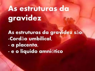 As estruturas da
gravidez
As estruturas da gravidez são:
-Cordão umbilical,
- a placenta,
- e o liquido amniótico