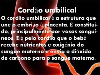 Cordão umbilical
O cordão umbilical é a estrutura que
une o embrião à placenta. É constituído, principalmente por vasos sanguíneos. E é pelo cordão que o bebé
recebe nutrientes e oxigénio do
sangue materno e envia o dióxido
de carbono para o sangue materno.