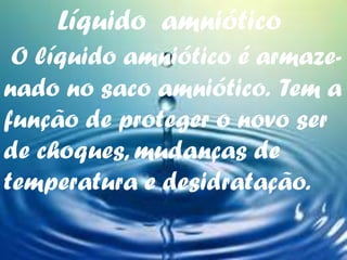 Líquido amniótico
O líquido amniótico é armazenado no saco amniótico. Tem a
função de proteger o novo ser
de choques, mudanças de
temperatura e desidratação.