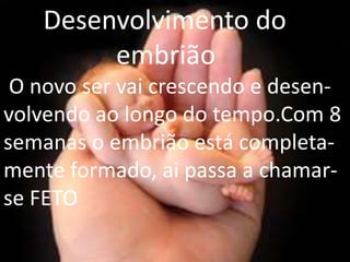Desenvolvimento do
embrião
O novo ser vai crescendo e desenvolvendo ao longo do tempo.Com 8
semanas o embrião está completamente formado, ai passa a chamarse FETO
