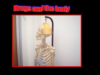 Drugs and the body 