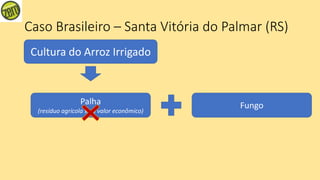 Caso Brasileiro – Santa Vitória do Palmar (RS)
Cultura do Arroz Irrigado
Palha
(resíduo agrícola sem valor econômico)
Fungo
 