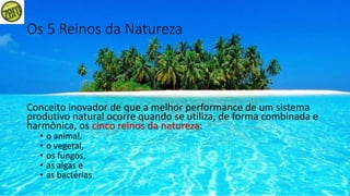 Os 5 Reinos da Natureza
Conceito inovador de que a melhor performance de um sistema
produtivo natural ocorre quando se utiliza, de forma combinada e
harmônica, os cinco reinos da natureza:
• o animal,
• o vegetal,
• os fungos,
• as algas e
• as bactérias
 