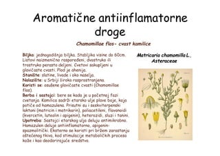Aromatične antiinflamatorne
droge
Chamomillae flos- cvast kamilice
Biljka: jednogodišnja biljka. Stabljika visine do 60cm.
Listovi naizmenično raspoređeni, dvostruko ili
trostruko perasto deljeni. Cvetovi sakupljeni u
glavičaste cvasti. Plod je ahenija.
Stanište: slatine, livade i oko naselja.
Nalazište: u Srbiji široko rasprostranjena.
Koristi se: osušene glavičaste cvasti (Chamomillae
flos).
Berba i sastojci: bere se kada je u početnoj fazi
cvetanja. Kamilica sadrži etarsko ulje plave boje, koja
potiče od hamazulena. Prisutni su i seskviterpenski
laktoni (matricin i matrikarin), poliacetileni, flavonoidi
(kvercetin, luteolin i apigenin), heterozidi, sluzi i tanini.
Upotreba: Sastojci etarskog ulja deluju antimikrobno.
Hamazulen deluje antiinflamatorno, apigenin-
spazmolitički. Eksterno se koristi pri bržem zarastanju
oštećenog tkiva, kod stimulacije metaboličkih procesa
kože i kao deodorirajuće sredstvo.
Matricaria chamomilla L.,
Asteraceae
 