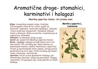 Aromatične droge- stomahici,
karminativi i holagozi
Menthae piperitae folium- list pitome nane
Mentha x piperita L.,
Lamiaceae
Biljka: višegodišnja zeljasta biljka. Stabljika
četvorougaona visine do 1m. Listovi jajasti do
lancetasti, naspramni, testerasto nazubljeni. Stabljika
i listovi prekriveni mehaničkim i žlezdanim dlakama.
Cvasti u dihazijum. Biljke su sterilne i razmnožavaju se
vegetativno, stolonama.
Nalazište: za dobijanje droge se gaji.
Koristi se: osušeni list (Menthae piperitae folium).
Berba i sastojci: sakuplja se kada biljka cveta. List
nane sadrži 1-3% etarskog ulja. Glavni sastojci su
monoterpeni (mentol, menton, mentofuran i piperiton).
Prisutn je monoterpenski keton jasmon, od koga potiče
karakterističan miris nane. Pored etarskog ulja sadrži i
tanine, flavonoide i karotenoide.
Upotreba: koristi se kao spazmolitik. Poseduje još i
antimikrobnu aktivnost, deluje kao karminativ, holagog
i sekretolik. Utrljavanjem ulja u kožu postiže se efekat
hlađenja.
 