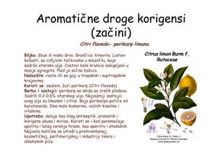 Aromatične droge korigensi
(začini)
Citri flavedo- perikarp limuna
Citrus limon Burm.f.,
Rutaceae
Biljka: žbun ili nisko drvo. Grančice trnovite. Listovi
kožasti, sa vidljivim tačkicama u mezofilu, koje
sadrže etarsko ulje. Cvetovi bele krunice sakupljeni u
manje agregate. Plod je sočna bobica.
Nalazište: raste illi se gaji u tropskim i suptropskim
krajevima.
Koristi se: osušeni, žuti perikarp (Citri flavedo).
Berba i sastojci: perikarp se skida sa zrelih plodova.
Sadrži 0.2-0.6% etarskog ulja. Najvažniji sastojci
ovog ulja su limonen i citral. Boja perikarpa potiče od
karotenoida. Ima malo kumarina, voćnih kiselina i
vitamina.
Upotreba: deluje kao blag antiseptik, aromatik i
korigens ukusa i mirisa. Koristi se i kod poremećaja
apetita i lošeg varenja hrane, kao aperitiv i stomahik.
Najveća količina se utroši u prehrambenoj,
koznetičkoj, parfimerijskoj i industriji likera i
alkoholnih pića.
 