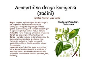 Aromatične droge korigensi
(začini)
Vanillae fructus- plod vanile
Vanilla planifolia Andr.,
Orchidaceae
Biljka: tropska , epifitna lijana. Reznice duge 1-
3m se prenose na drvo domaćina i tu se
ukornjuju. Cvetaju na kraju druge ili treće
godine. Cvetovi moraju biti veštački oplođeni jer
ih u prirodi oplođuje kolibri. Plod je mahuna.
Nalazište: raste illi se gaji u tropskim krajevima.
Koristi se: osušeni plod (Vanillae fructus).
Berba i sastojci: mahune se beru kada počnu da
sazrevaju i menjaju boju: iz zelene u žutu.
Najvažniji sastojci su fenolni heterozidi,
vanilozid i vanililozid. Vanilin se dobija u toku
fermentacije.
Upotreba: najveća količina vanile se troši kao
začin, koristi se i kao aromatično sredstvo za
korekciju ukusa i mirisa nekih farmaceutskih
preparata. Sve češće se koristi u parfimerijskoj
industriji.
 