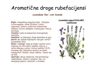 Aromatične droge rubefacijensi
Lavandulae flos- cvet lavande
Lavandula angustifolia Mill.,
LamiaceaeBiljka: višegodišnja zeljasta biljka. Stabljika
četvorougaona, visine 20-60cm. Listovi
naspramni, linearni, prekriveni mehaničkim
dlakama. Cvetovi sakupleni u dihazijume. Plod je
merikarp.
Stanište: raste na kamenitom krečnjačkom
zemljištu.
Nalazište: za dobijanje droge plantažno se gaji.
Koristi se: osušeni nepotpuno razvijeni cvetovi
(Lavandulae flos).
Berba i sastojci: kada je biljka u punom cvetu,
odsecaju se vršni delovi izdanka, suše se, a
zatim odvejaju cvetovi. Cvetovi sadrže 1.5-3%
etarskog ulja. Najvažniji sastojci su linalol,
linalilacetat, limonen, cineol, kamfor. Tanina ima
do 10%.
Upotreba: deluje sedativno, kod poremećaja
raspoloženja, zamora i nesanice, kao i za
smanjenje gasova i nadutosti u stomaku.
 
