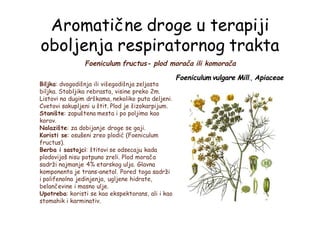 Aromatične droge u terapiji
oboljenja respiratornog trakta
Foeniculum fructus- plod morača ili komorača
Biljka: dvogodišnja ili višegodišnja zeljasta
biljka. Stabljika rebrasta, visine preko 2m.
Listovi na dugim drškama, nekoliko puta deljeni.
Cvetovi sakupljeni u štit. Plod je šizokarpijum.
Stanište: zapuštena mesta i po poljima kao
korov.
Nalazište: za dobijanje droge se gaji.
Koristi se: osušeni zreo plodić (Foeniculum
fructus).
Berba i sastojci: štitovi se odsecaju kada
plodovijoš nisu potpuno zreli. Plod morača
sadrži najmanje 4% etarskog ulja. Glavna
komponenta je trans-anetol. Pored toga sadrži
i polifenolna jedinjenja, ugljene hidrate,
belančevine i masno ulje.
Upotreba: koristi se kao ekspektorans, ali i kao
stomahik i karminativ.
Foeniculum vulgare Mill., Apiaceae
 