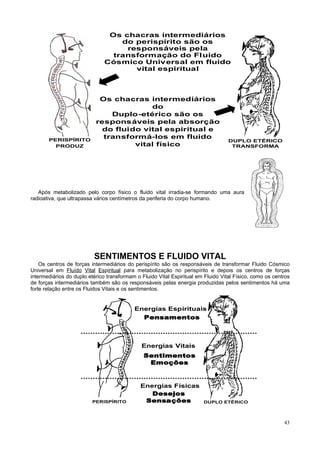 Os chacras intermediários
                                   do perispírito são os
                                    responsáveis pela
                                 transformação do Fluido
                               Cósmico Universal em fluido
                                      vital espiritual



                            Os chacras intermediários
                                         do
                               Duplo-etérico são os
                           responsáveis pela absorção
                             do fluido vital espiritual e
       PERISPÍRITO
                             transformá-los em fluido
                                                                                   DUPLO ETÉRICO
         PRODUZ                      vital físico                                   TRANSFORMA




   Após metabolizado pelo corpo físico o fluido vital irradia-se formando uma aura
radioativa, que ultrapassa vários centímetros da periferia do corpo humano.




                          SENTIMENTOS E FLUIDO VITAL
    Os centros de forças intermediários do perispírito são os responsáveis de transformar Fluido Cósmico
Universal em Fluído Vital Espiritual para metabolização no perispírito e depois os centros de forças
intermediários do duplo etérico transformam o Fluido Vital Espiritual em Fluido Vital Físico, como os centros
de forças intermediários também são os responsáveis pelas energia produzidas pelos sentimentos há uma
forte relação entre os Fluidos Vitais e os sentimentos.


                                           Energias Espirituais
                                             Pensamentos



                                              Energias Vitais
                                               Sentimentos
                                                Emoções


                                              Energias Físicas
                                                 Desejos
                         PERISPÍRITO           Sensações                DUPLO ETÉRICO



                                                                                                          43
 