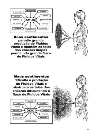 Bons sentimentos
     permite grande
  produção de Fluidos
Vitais e mantém as telas
   dos chacras limpas
permitindo grande fluxo
    de Fluidos Vitais




  Maus sentimentos
   dificulta a produção
    de Fluidos Vitais e
 obstruem as telas dos
 chacras dificultando o
 fluxo de Fluidos Vitais




                           44
 