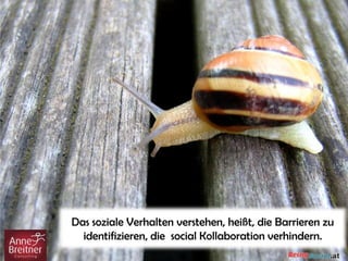 Das soziale Verhalten verstehen, heißt, die Barrieren zu
identifizieren, die social Kollaboration verhindern.
 