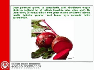 Depo paranşimi (yumru ve pancarlarda, canlı hücrelerden oluşan birbiriyle bağlantılı bir ağ halinde topyekün odun kitlesi gibi.), Öz (Yani odun) ve Kabuk ışınları hem yedek madde biriktirmesi hemde madde iletimine yararlar. Yani bunlar aynı zamanda iletim paranşimidir. 