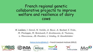 French regional genetic
collaborative projects to improve
welfare and resilience of dairy
cows
H. Leclerc, I. Croué, R. Vallée, A. Baur, A. Barbat, S. Fritz,
M. Philippe, M. Brochard, F. Guillaume, G. Thomas,
L. Manciaux, JB. Davière, L Voidey, N. Gaudillière
Helene.leclerc@idele.fr – French Livestock Institute (IDELE)
 