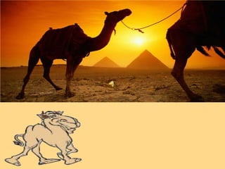 06   império egípcio