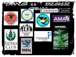 Interest GroupsCHAPTER 11 – INTEREST GROUPSS