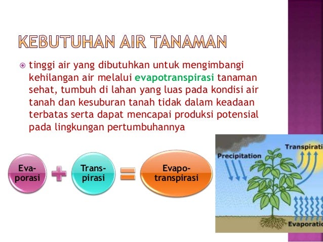 06 kebutuhan air tanaman