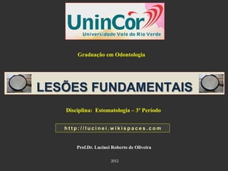 Graduação em Odontologia




LESÕES FUNDAMENTAIS
   Disciplina: Estomatologia – 3º Período


   http://lucinei.wikispaces.com


       Prof.Dr. Lucinei Roberto de Oliveira

                       2012
 