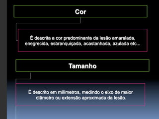 Cor



  É descrita a cor predominante da lesão amarelada,
enegrecida, esbranquiçada, acastanhada, azulada etc...



                    Tamanho



 É descrito em milímetros, medindo o eixo de maior
    diâmetro ou extensão aproximada da lesão.
 