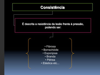 Consistência



É descrita a resistência da lesão frente à pressão,
                   podendo ser:




                     •  Fibrosa
                •  Borrachóide
                  •  Esponjosa
                     •  Branda
                      •  Pétrea
               •  Elástica etc...
 