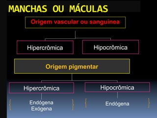 MANCHAS	
  OU	
  MÁCULAS	
  
      Origem vascular ou sanguínea



     Hipercrômica        Hipocrômica


           Origem pigmentar


    Hipercrômica              Hipocrômica

     Endógena                  Endógena
     Exógena
 