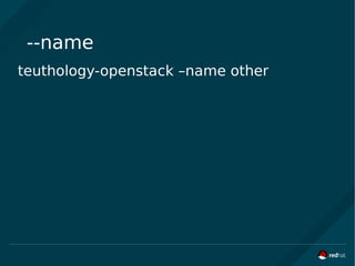 --name
teuthology-openstack –name other
 