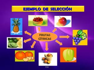 EJEMPLO DE SELECCIÓN

FRUTAS
CÍTRICAS

FVH

 