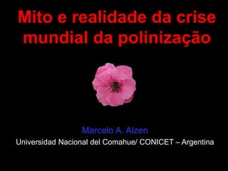 Mito e realidade da crise
mundial da polinização
Marcelo A. Aizen
Universidad Nacional del Comahue/ CONICET – Argentina
 