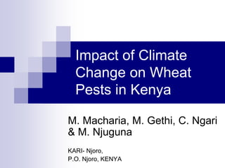 Impact of Climate
  Change on Wheat
  Pests in Kenya

M. Macharia, M. Gethi, C. Ngari
& M. Njuguna
KARI- Njoro,
P.O. Njoro, KENYA
 