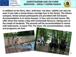 10
AGROTOURISM AND ON FARM
SERVICES – KIRÁLY HORSE RANCH
In addition to the flora, deer, wild boar, roe deer, rabbits can also be
seen if you take a horse-drawn carriage tour in the forest. The hikers,
campers, forest school participants are provided with full board.
Accommodation is in stone houses, in four and six bed rooms. We
offer three fine meals a day with homemade flavours, taking care of
the needs of students. The escorts will be accommodated in rooms
with bathrooms, in-room TVs. For them, the accommodation, meals
and programs are free.
 
