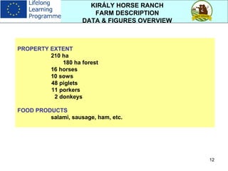 12
KIRÁLY HORSE RANCH
FARM DESCRIPTION
DATA & FIGURES OVERVIEW
PROPERTY EXTENT
210 ha
180 ha forest
16 horses
10 sows
48 piglets
11 porkers
2 donkeys
FOOD PRODUCTS
salami, sausage, ham, etc.
 