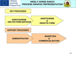 14
KIRÁLY HORSE RANCH
PROCESS GRAPHIC REPRESENTATION
MARKETING
&
COMMERCIALISATION
ADMINISTRATION
AGRITOURISM
&
DIDACTIC FARM
AGROTOURISM
AND ON FARM SERVICES
KEY PROCESSES
SUPPORT PROCESSES
 